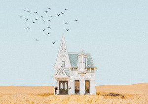 Various Forms of Gear Shaper Cutters 