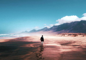 PA20° Module m2.25 Standard Involute Gear Hobbing Cutter